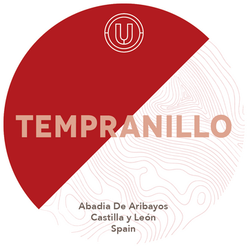 Abadia de Aribayos Tempranillo Joven 2023 20L