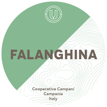 Cooperativa Campani Falanghina 2023 30L