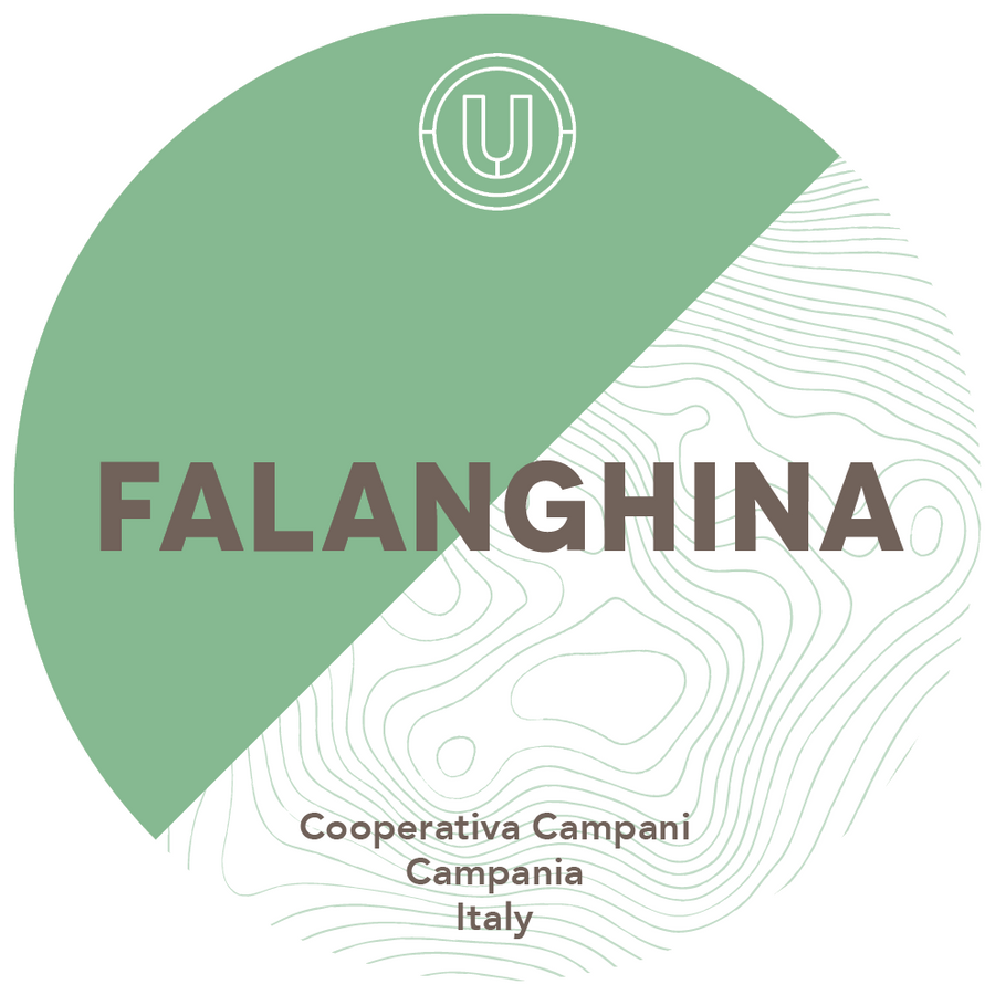 Cooperativa Campani Falanghina 2023 30L