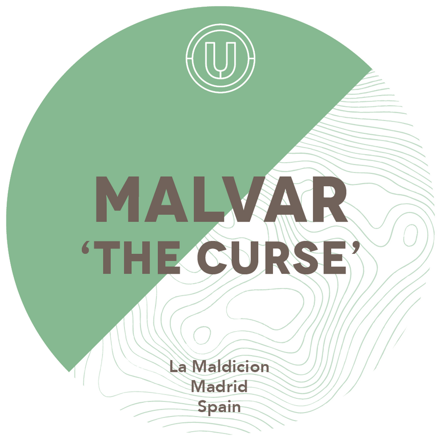 Bodegas Cinco Leguas Marc Isart La Maldicion Malvar de Valdilecha The Curse 2021 20L