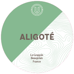 Le Grappin Aligote 2023 20L