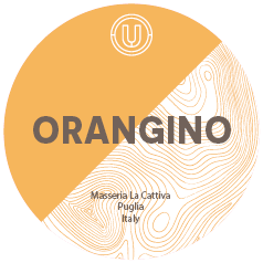 Masseria La Cattiva Orangino 2023 20L