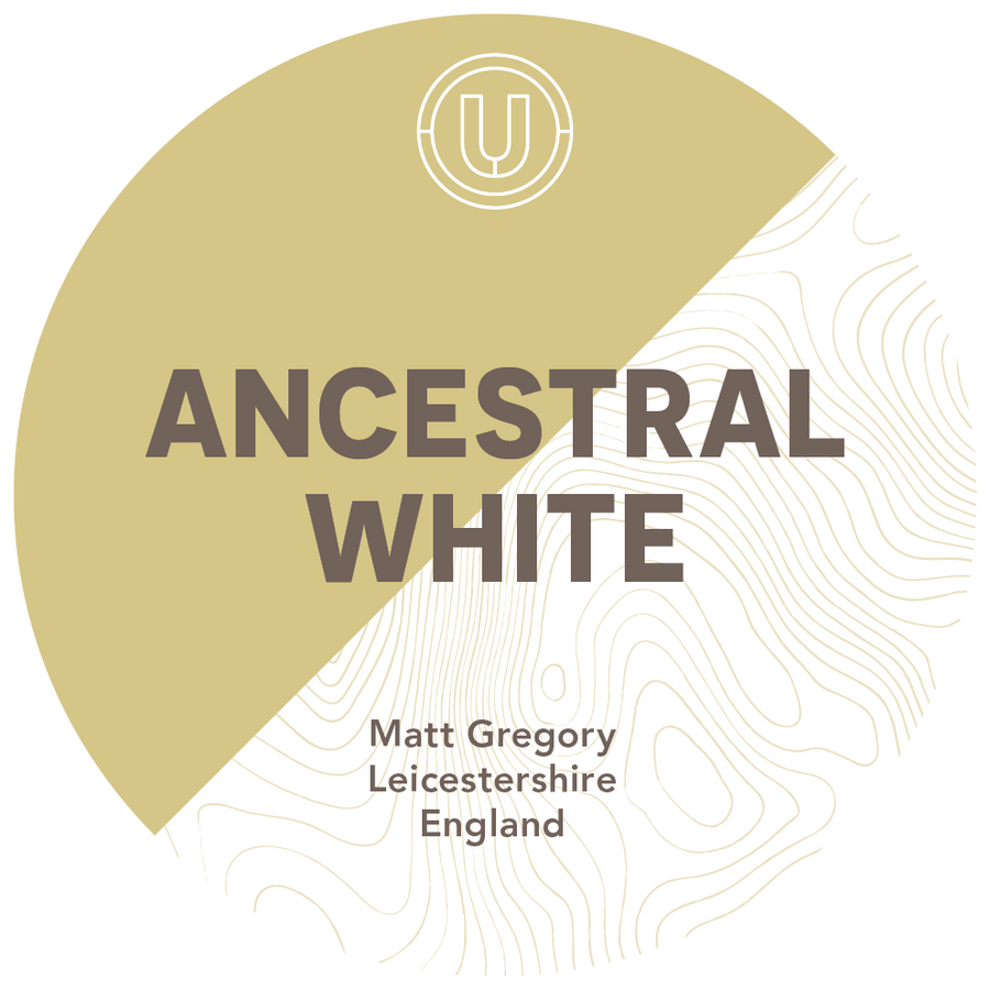 Matt Gregory The Ancestral White 2022 20L 11% VOL