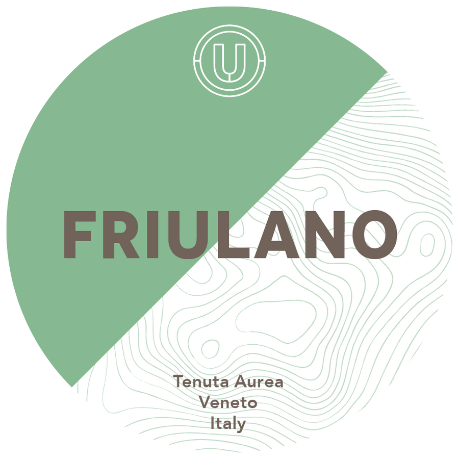 Tenuta Aurea Bianco Friulano  2023 30L