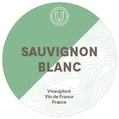 Vinexplore Sauvignon Blanc 2023 30L